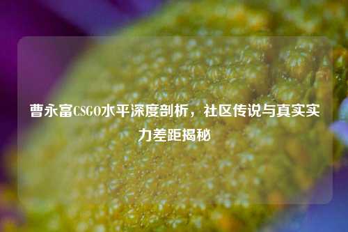 曹永富CSGO水平深度剖析,社区传说与真实实力差距揭秘