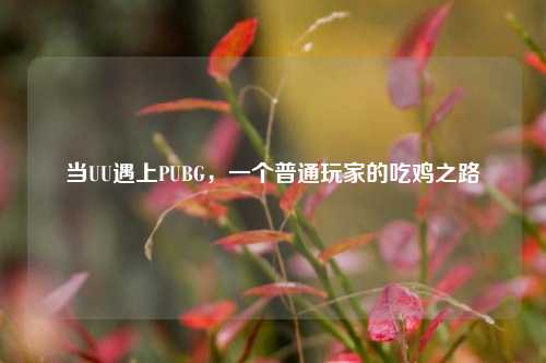 当UU遇上PUBG,一个普通玩家的吃鸡之路