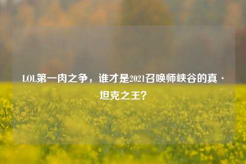 LOL第一肉之争，谁才是2021召唤师峡谷的真·坦克之王？