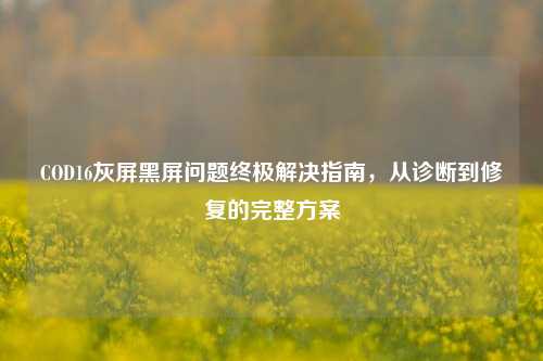 COD16灰屏黑屏问题终极解决指南，从诊断到修复的完整方案