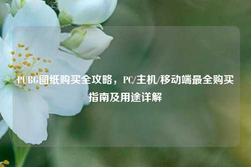 PUBG图纸购买全攻略，PC/主机/移动端最全购买指南及用途详解