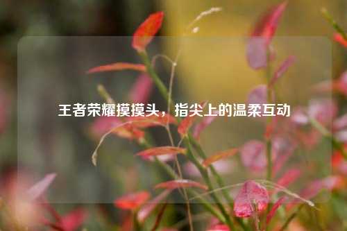 王者荣耀摸摸头,指尖上的温柔互动