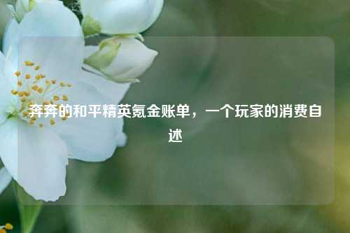奔奔的和平精英氪金账单，一个玩家的消费自述