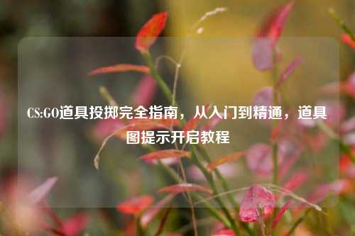 CS:GO道具投掷完全指南，从入门到精通，道具图提示开启教程