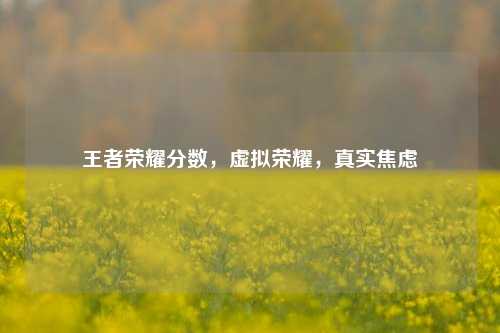 王者荣耀分数，虚拟荣耀，真实焦虑