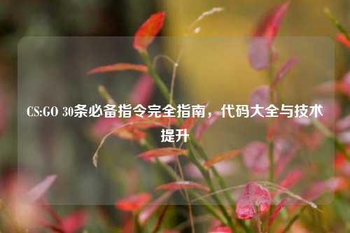 CS:GO 30条必备指令完全指南，代码大全与技术提升