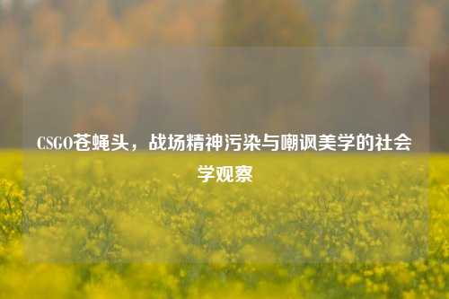 CSGO苍蝇头,战场精神污染与嘲讽美学的社会学观察