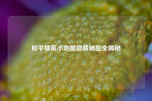 和平精英小地图隐藏秘密全揭秘