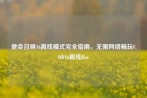 使命召唤16离线模式完全指南,无需网络畅玩COD16离线Bot