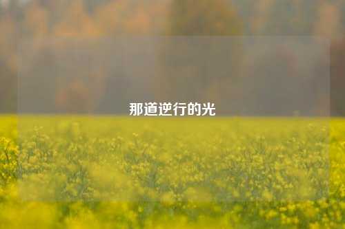 那道逆行的光