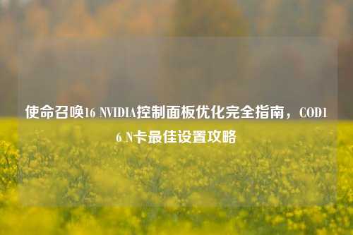 使命召唤16 NVIDIA控制面板优化完全指南，COD16 N卡最佳设置攻略