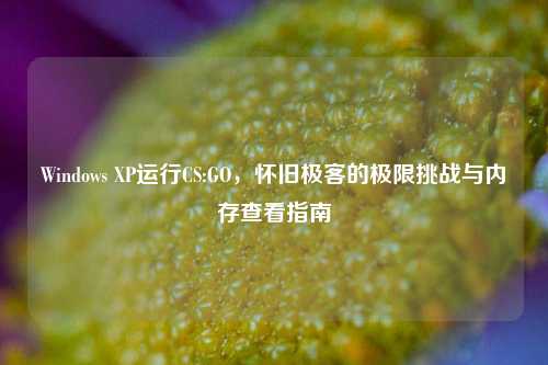 Windows XP运行CS:GO，怀旧极客的极限挑战与内存查看指南