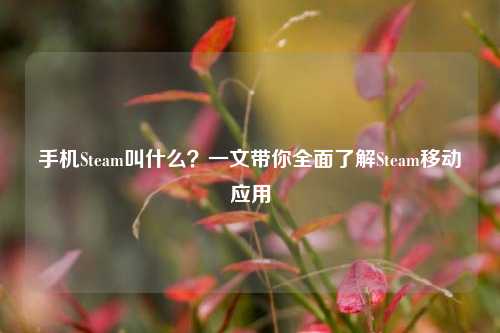手机Steam叫什么?一文带你全面了解Steam移动应用