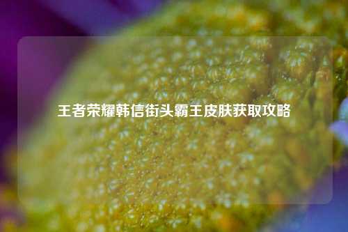 王者荣耀韩信街头霸王皮肤获取攻略