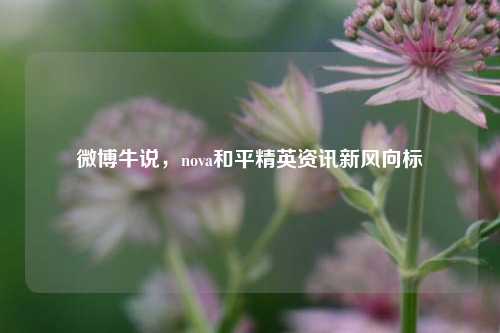 微博牛说,nova和平精英资讯新风向标
