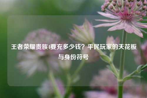 王者荣耀贵族4要充多少钱?平民玩家的天花板与身份符号