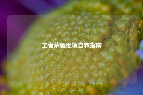 王者荣耀绝境自救指南
