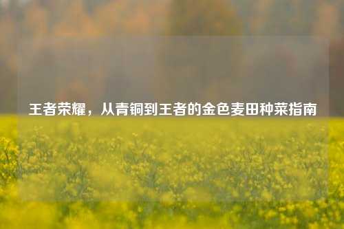 王者荣耀,从青铜到王者的金色麦田种菜指南