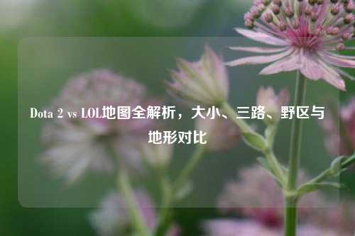 Dota 2 vs LOL地图全解析,大小、三路、野区与地形对比