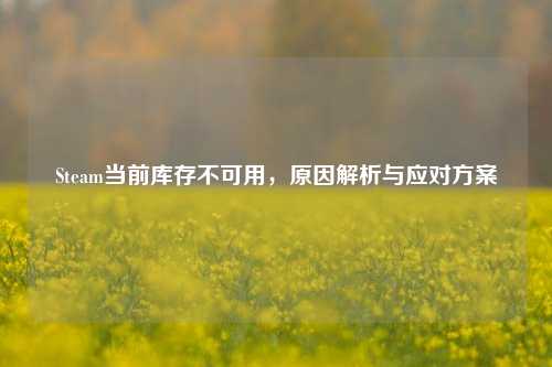 Steam当前库存不可用，原因解析与应对方案