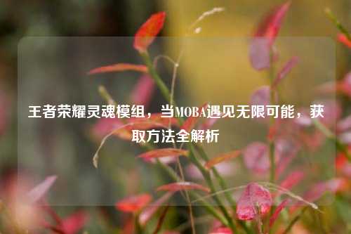 王者荣耀灵魂模组，当MOBA遇见无限可能，获取方法全解析