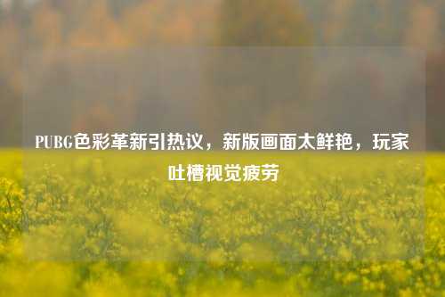 PUBG色彩革新引热议,新版画面太鲜艳,玩家吐槽视觉疲劳