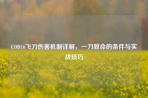 COD16飞刀伤害机制详解,一刀致命的条件与实战技巧