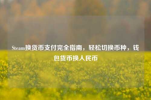 Steam换货币支付完全指南,轻松切换币种,钱包货币换人民币