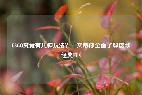 CSGO究竟有几种玩法?一文带你全面了解这款经典FPS