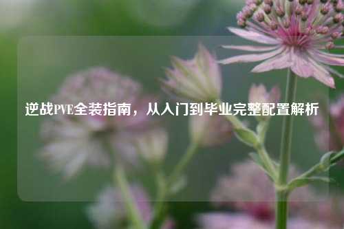 逆战PVE全装指南，从入门到毕业完整配置解析