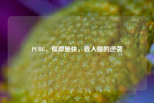 PUBG,慢即是快,载入慢的逆袭