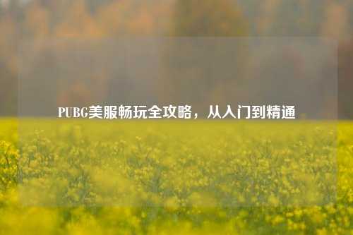 PUBG美服畅玩全攻略，从入门到精通