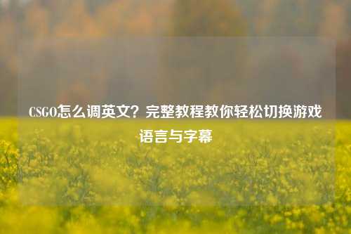 CSGO怎么调英文？完整教程教你轻松切换游戏语言与字幕