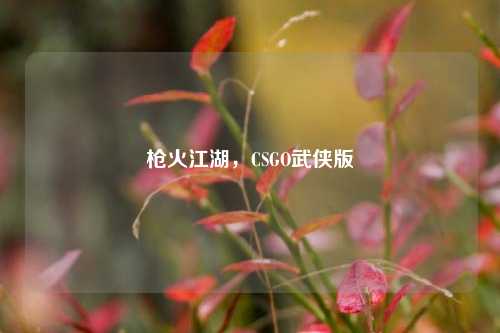 枪火江湖，CSGO武侠版