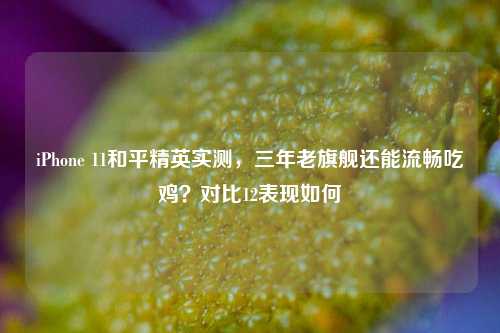 iPhone 11和平精英实测,三年老旗舰还能流畅吃鸡?对比12表现如何