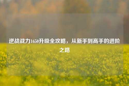 逆战战力1650升级全攻略,从新手到高手的进阶之路