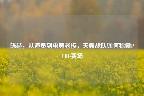 陈赫,从演员到电竞老板,天霸战队如何称霸PUBG赛场