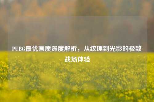 PUBG最优画质深度解析,从纹理到光影的极致战场体验