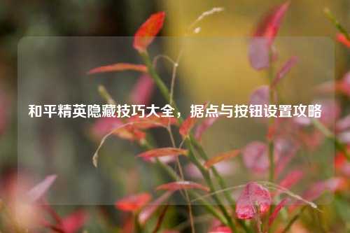 和平精英隐藏技巧大全，据点与按钮设置攻略