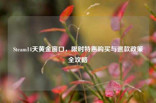 Steam14天黄金窗口，限时特惠购买与退款政策全攻略