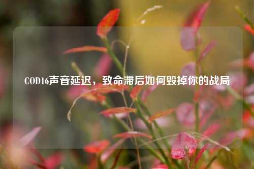 COD16声音延迟，致命滞后如何毁掉你的战局