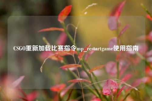 CSGO重新加载比赛指令mp_restartgame使用指南