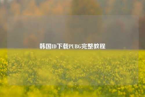 韩国ID下载PUBG完整教程
