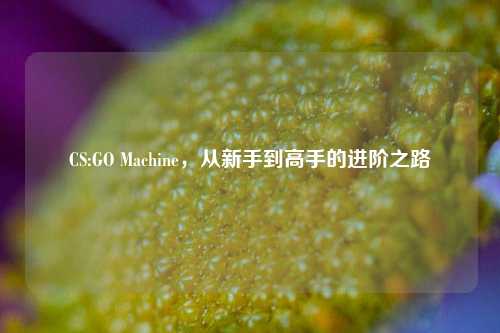 CS:GO Machine，从新手到高手的进阶之路