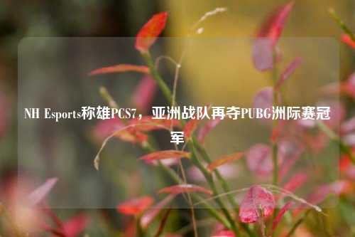 NH Esports称雄PCS7,亚洲战队再夺PUBG洲际赛冠军