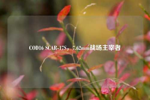 COD16 SCAR-17S,7.62mm战场主宰者