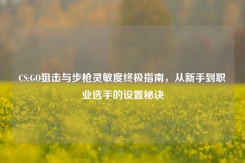 CS:GO狙击与步枪灵敏度终极指南，从新手到职业选手的设置秘诀