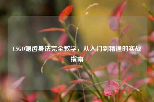CSGO锯齿身法完全教学,从入门到精通的实战指南