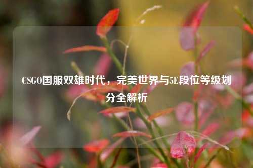 CSGO国服双雄时代,完美世界与5E段位等级划分全解析