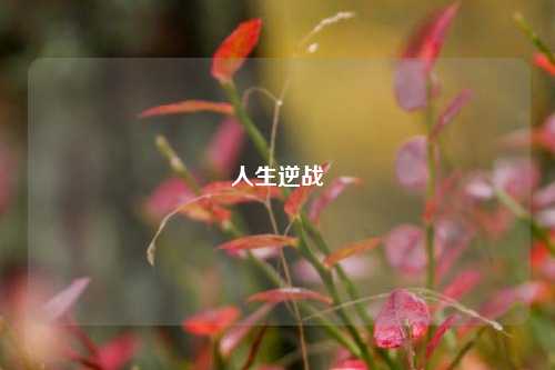 人生逆战